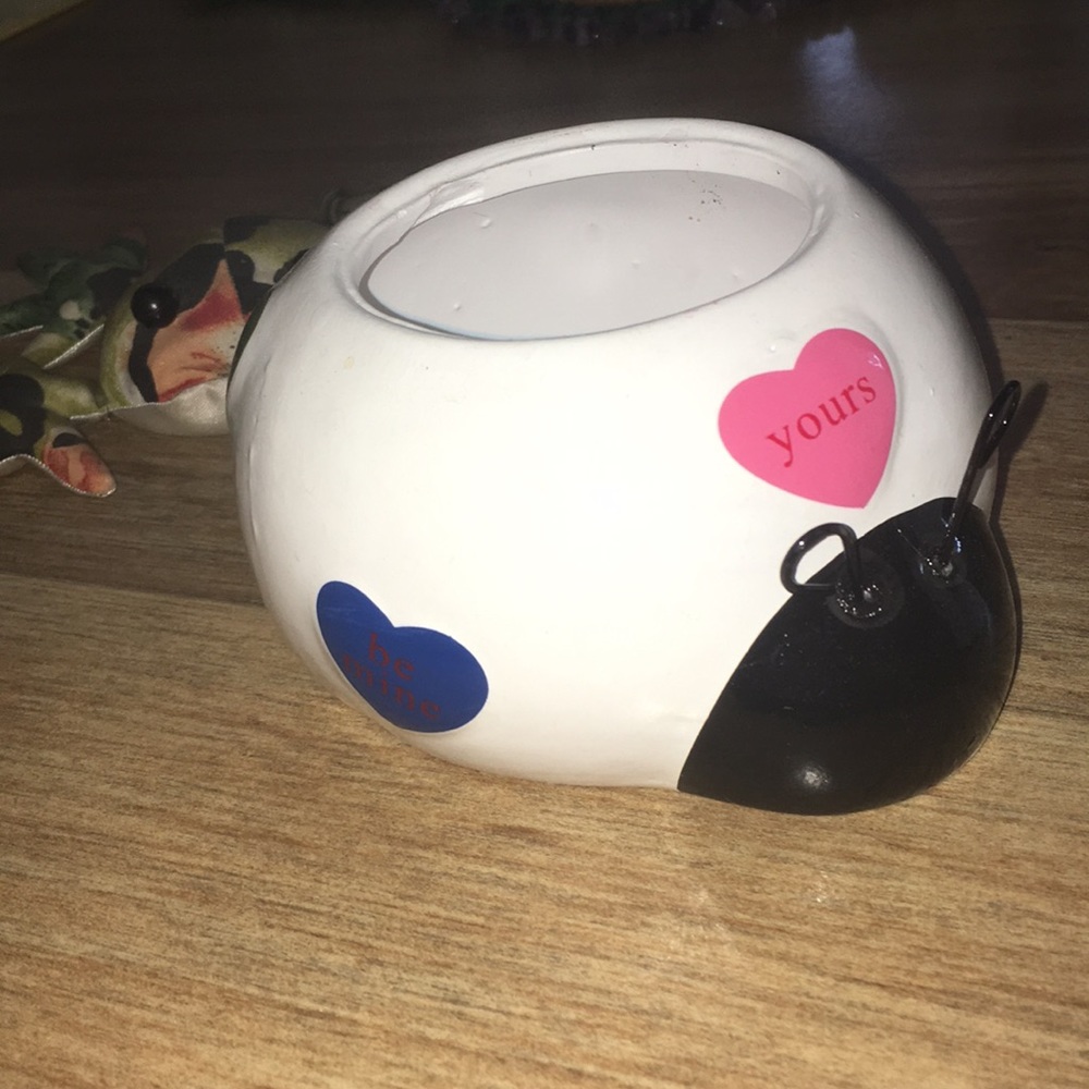 Ladybug 🐞 Planter
